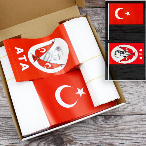 100 adet ATA 100 Adet Türk Bayrak Seti - Kare Dekor