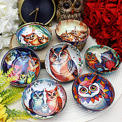 Asorti Baykuş Desenli Teneke Kase 9,5 cm - 2