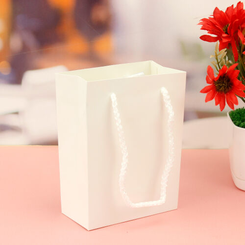 İpli Karton Hediyelik Çanta 14CM Krem - 1