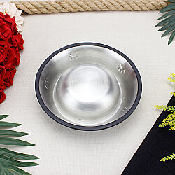 Kaymaz Tabanlı Çelik Kedi Köpek Mama ve Su Kabı 22 cm Gümüş - 2