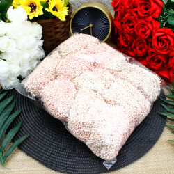 Oya Tomurcuğu Yapay Tohum Çiçek Somon 130 g (±10 g) - 3