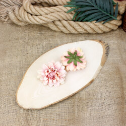 Yıldız Çiçeği Pudra Pembe 10 cm 18’li Paket - 2