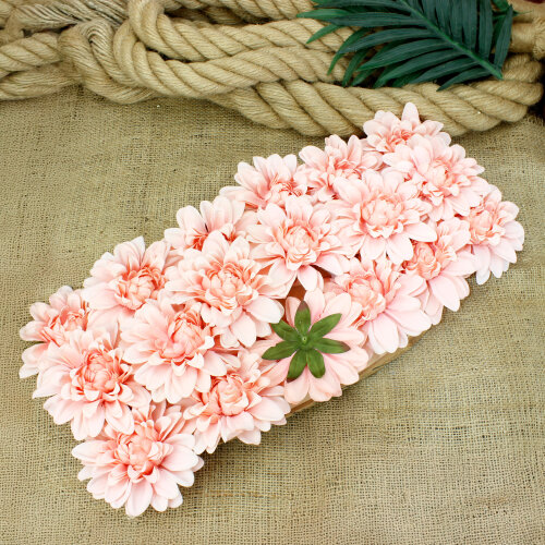 Yıldız Çiçeği Somon Pembe 10 cm 18’li Paket - Toptanalim