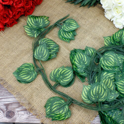 Yuvarlak Yaprak Sarmaşık 12 Adet – 230 cm - 1